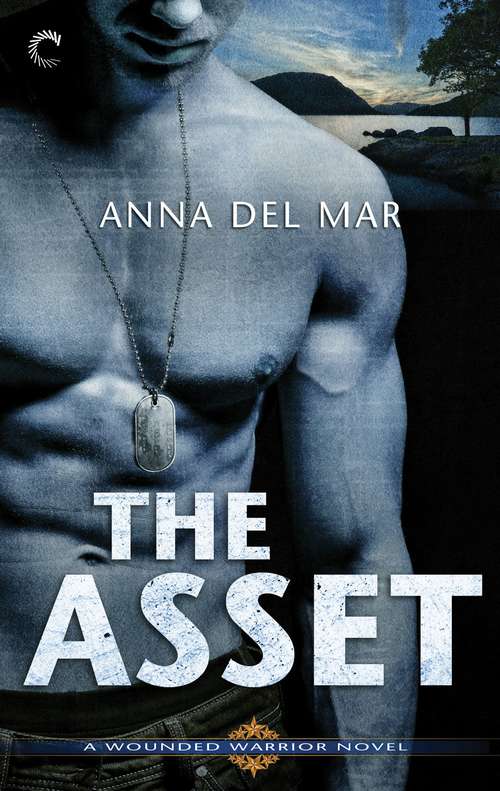 Book cover of The Asset