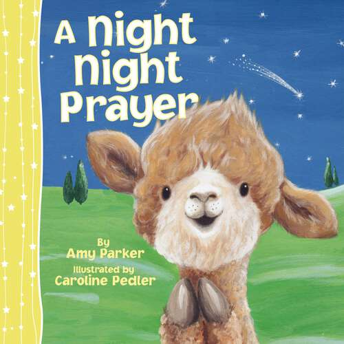 Book cover of A Night Night Prayer