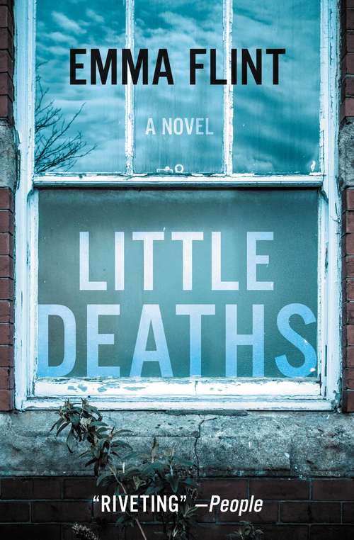 Book cover of Little Deaths: A Novel