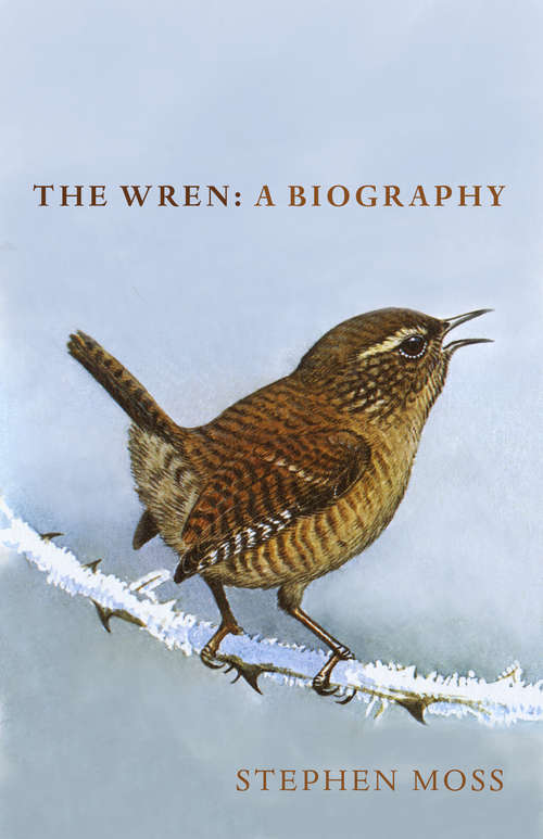 Book cover of The Wren: A Biography (The Bird Biography Series #2)