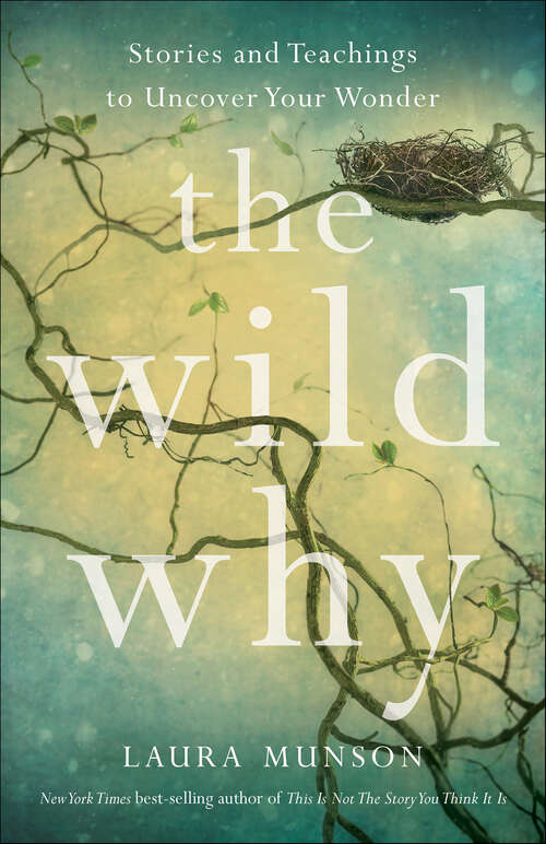 Book cover of The Wild Why: Stories and Teachings to Uncover Your Wonder