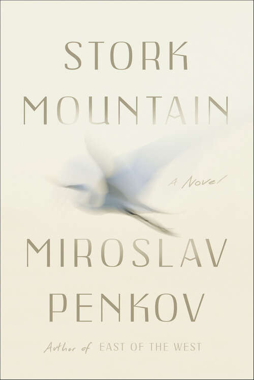 Book cover of Stork Mountain: A Novel