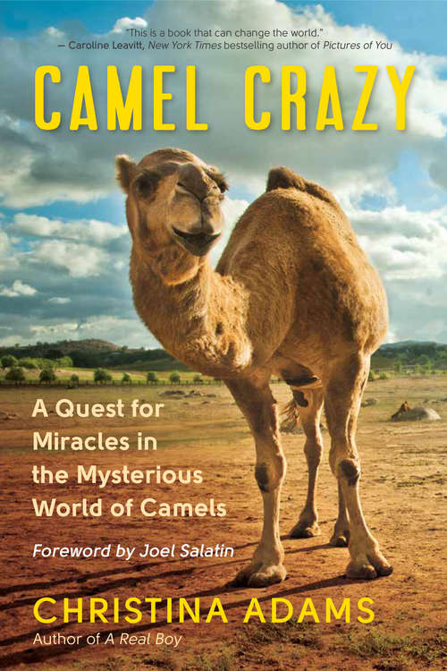 Book cover of Camel Crazy: A Quest for Miracles in the Mysterious World of Camels