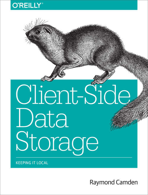 Book cover of Client-Side Data Storage