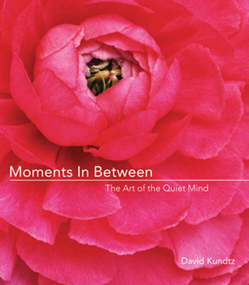 Book cover of Moments in Between: The Art of the Quiet Mind