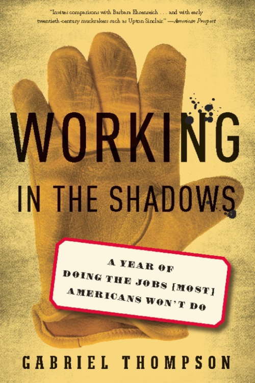 Book cover of Working in the Shadows: A Year of Doing the Jobs (Most) Americans Won't Do