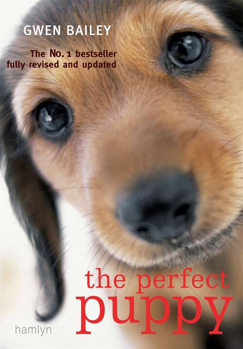 Book cover of The Perfect Puppy