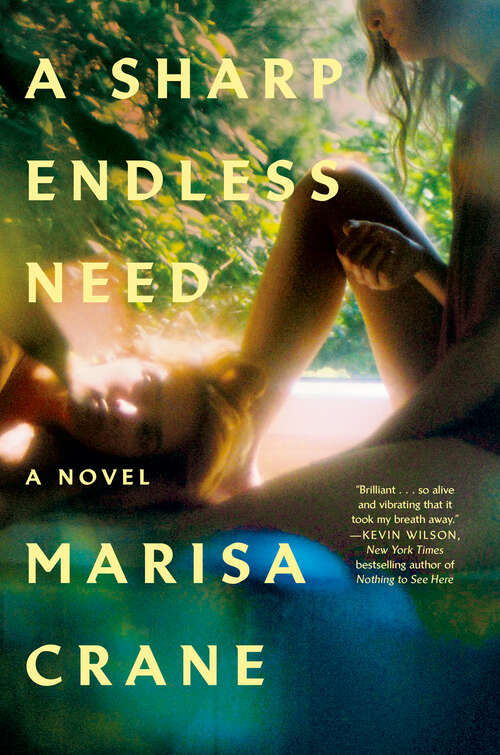 Book cover of A Sharp Endless Need: A Novel
