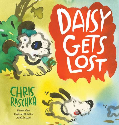 Book cover of Daisy Gets Lost