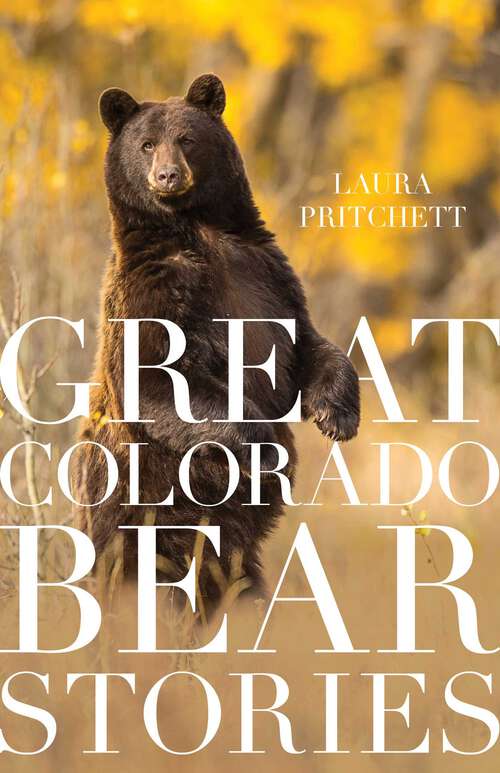 Book cover of Great Colorado Bear Stories