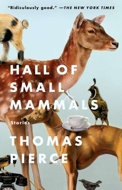 Book cover of Hall of Small Mammals