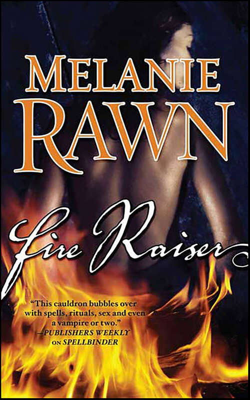Book cover of Fire Raiser