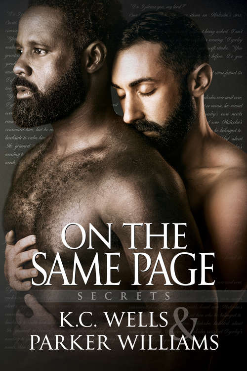 Book cover of On the Same Page (Secrets #4)