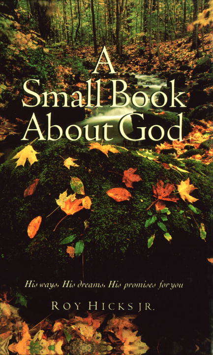 Book cover of A Small Book about God