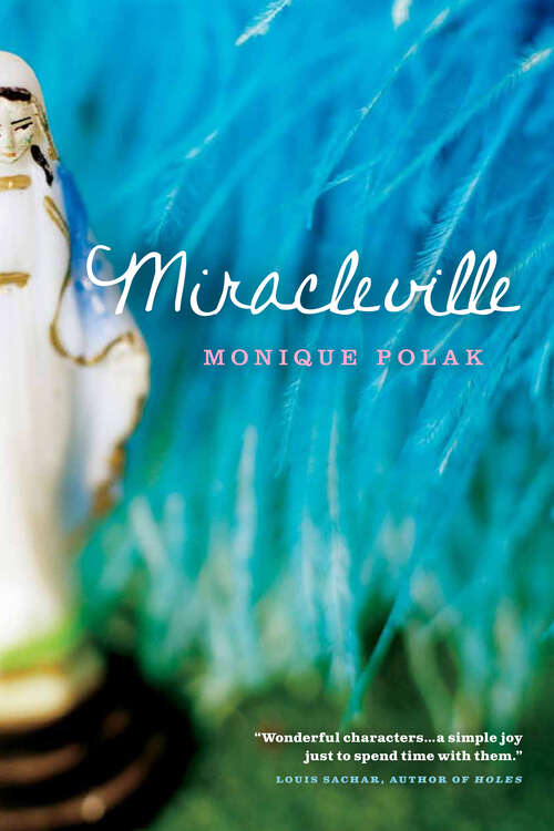 Book cover of Miracleville