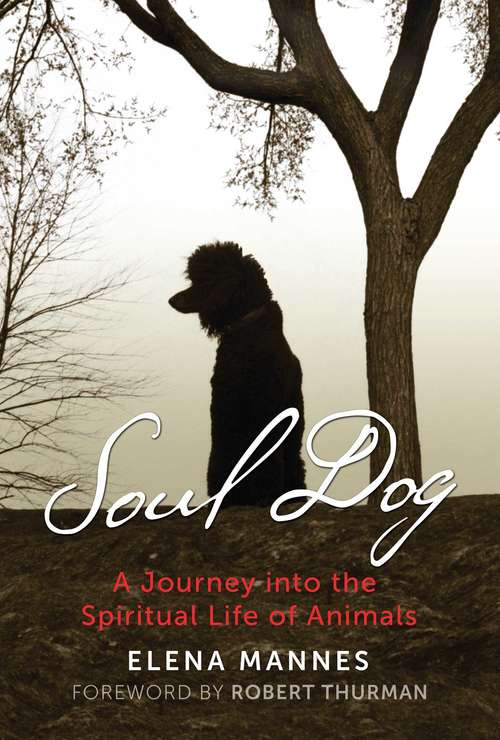 Soul Dog: A Journey into the Spiritual Life of Animals