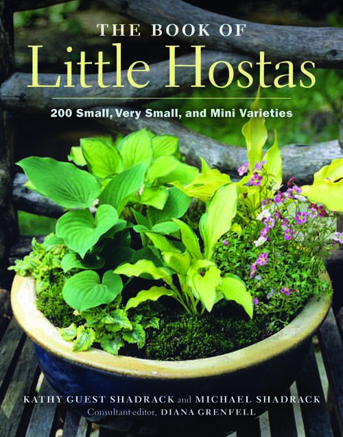 Book cover of The Book of Little Hostas: 200 Small, Very Small, and Mini Varieties