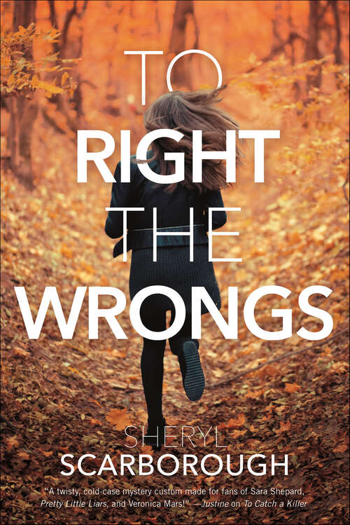 Book cover of To Right the Wrongs (Erin Blake)
