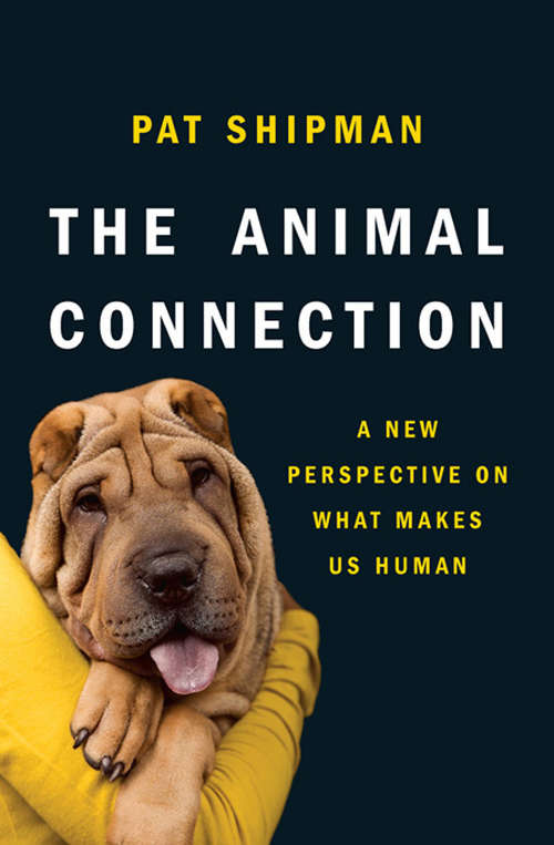 Book cover of The Animal Connection: A New Perspective on What Makes Us Human