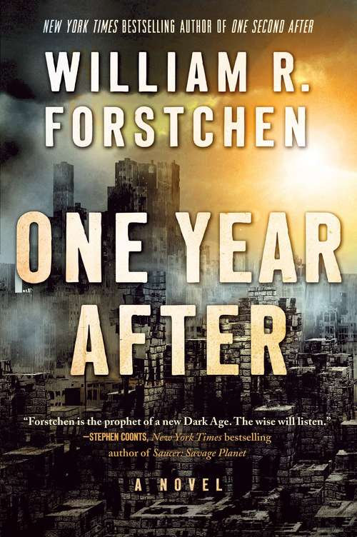 Book cover of One Year After (John Matherson Series #2)