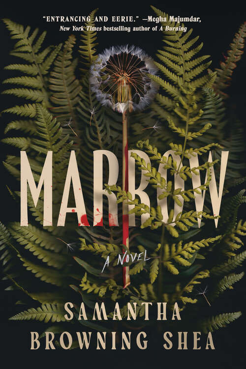 Book cover of Marrow