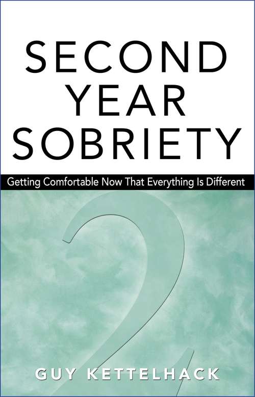 Book cover of Second Year Sobriety: Getting Comfortable Now That Everything Is Different