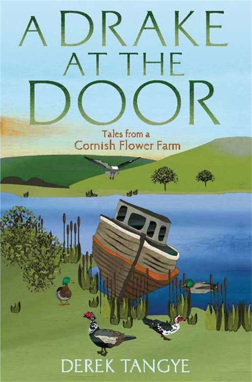 Book cover of A Drake at the Door: Tales from a Cornish Flower Farm (Minack Chronicles #8)