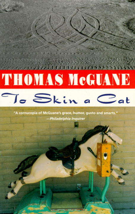Book cover of To Skin a Cat