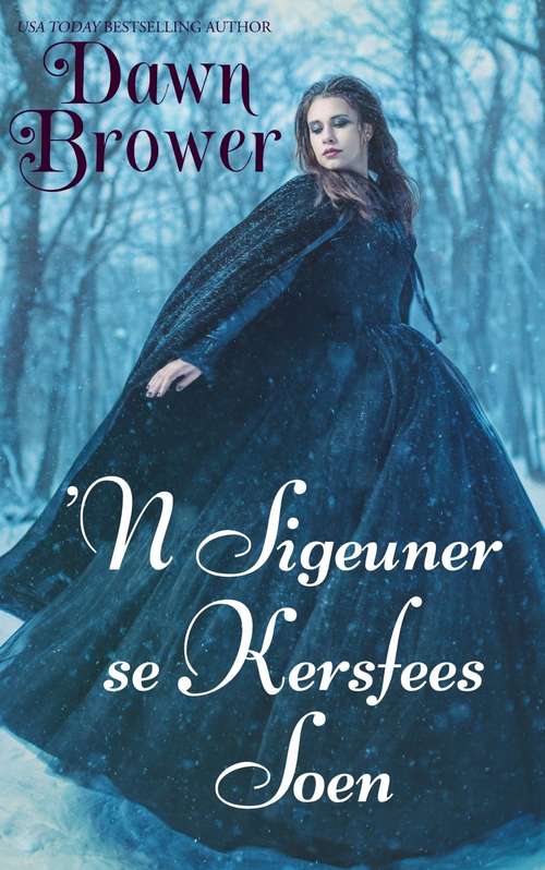 Book cover of 'N Sigeuner se Kersfees Soen
