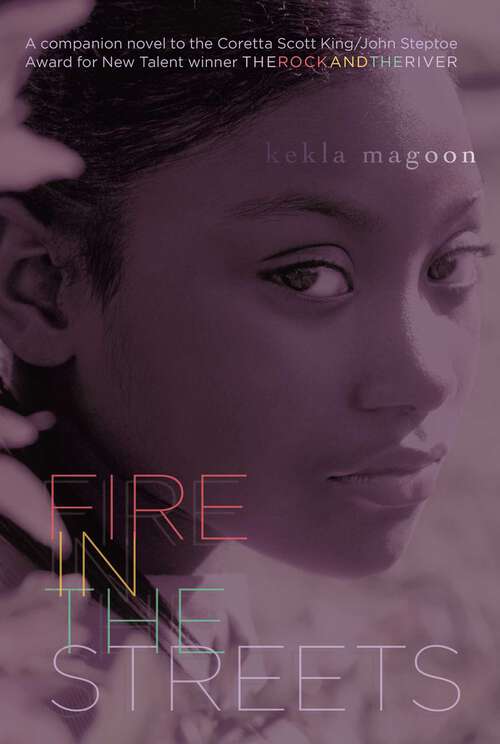 Book cover of Fire in the Streets (Rock And The River Ser.)
