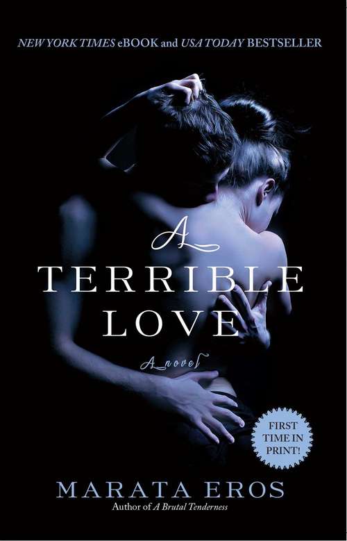 Book cover of A Terrible Love