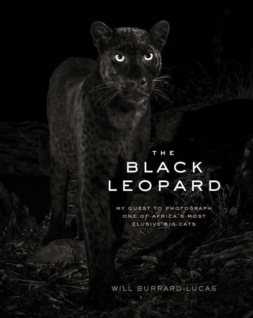 Book cover of The Black Leopard: My Quest to Photograph One of Africa's Most Elusive Big Cats