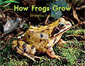 Book cover of How Frogs Grow (Fountas & Pinnell LLI Green: Level G, Lesson 79)