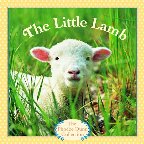 Book cover of The Little Lamb