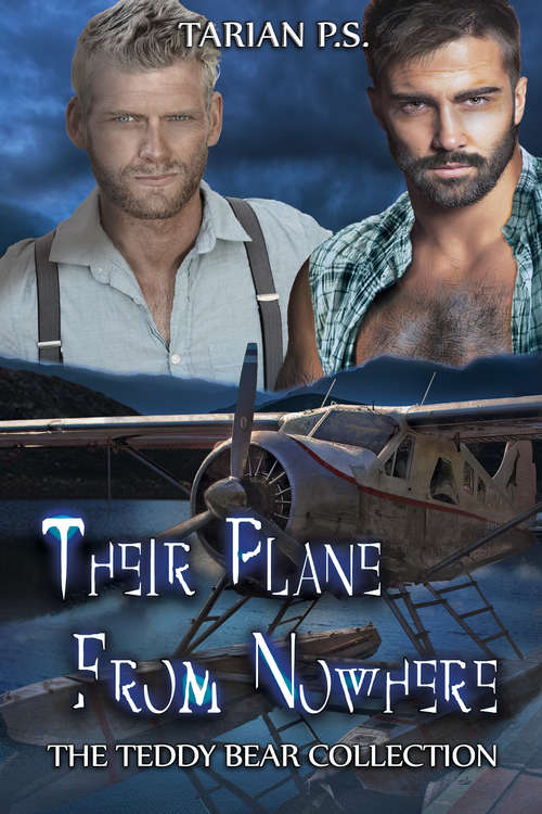 Book cover of Their Plane from Nowhere