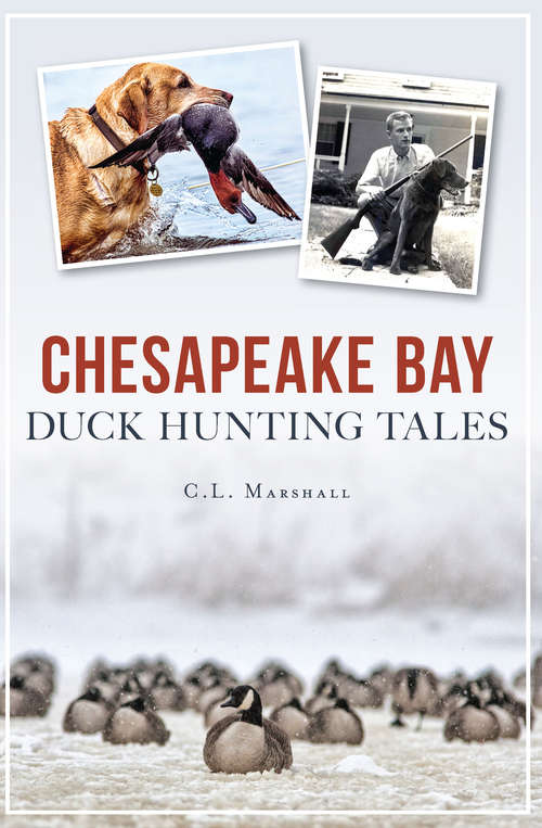 Book cover of Chesapeake Bay Duck Hunting Tales