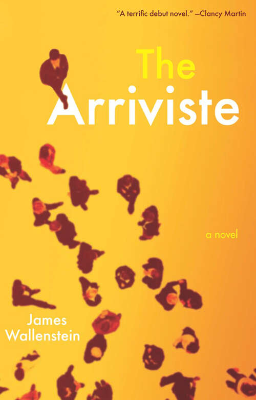 Book cover of The Arriviste: A Novel