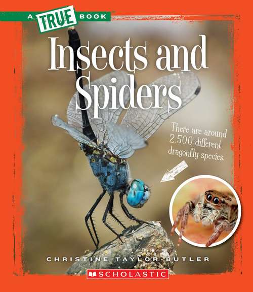 Book cover of Insects and Spiders (A True Book: Animal Kingdom)