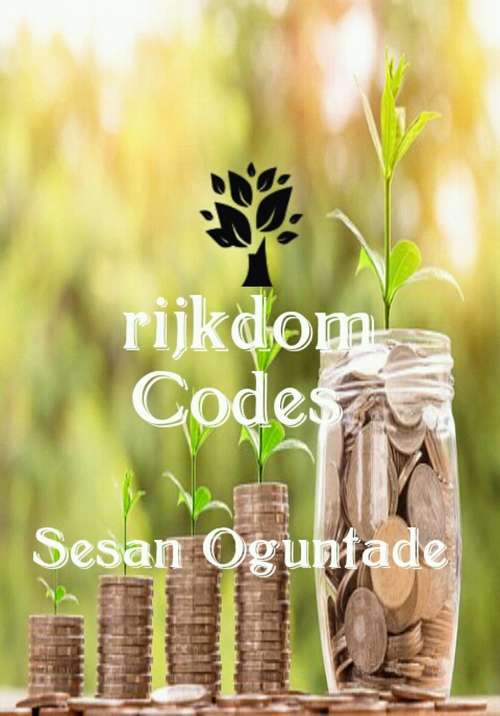 Book cover of Rijkdomcodes: Een epische christelijke roman over een sterke financiële leer