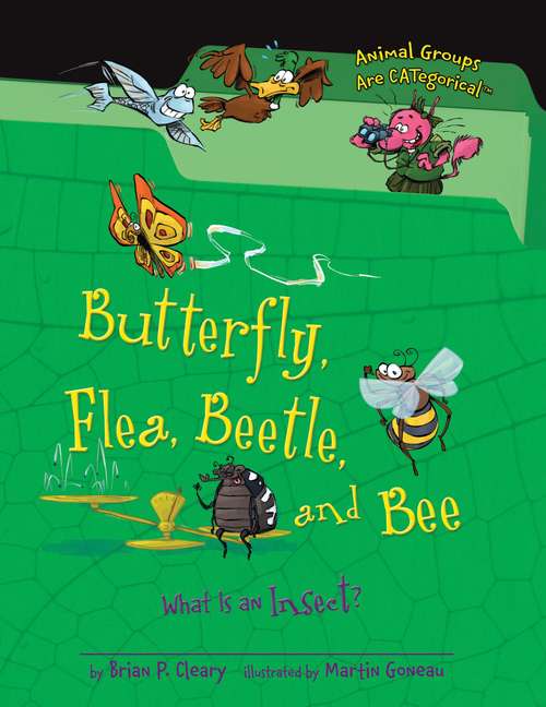 Book cover of Butterfly  Flea  Beetle  and Bee  What is an Insect: What Is An Insect? (Animal Groups Are Categorical)