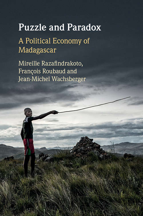 Book cover of Puzzle and Paradox: A Political Economy of Madagascar