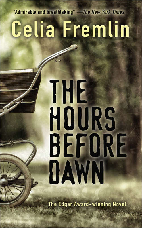Book cover of The Hours Before Dawn