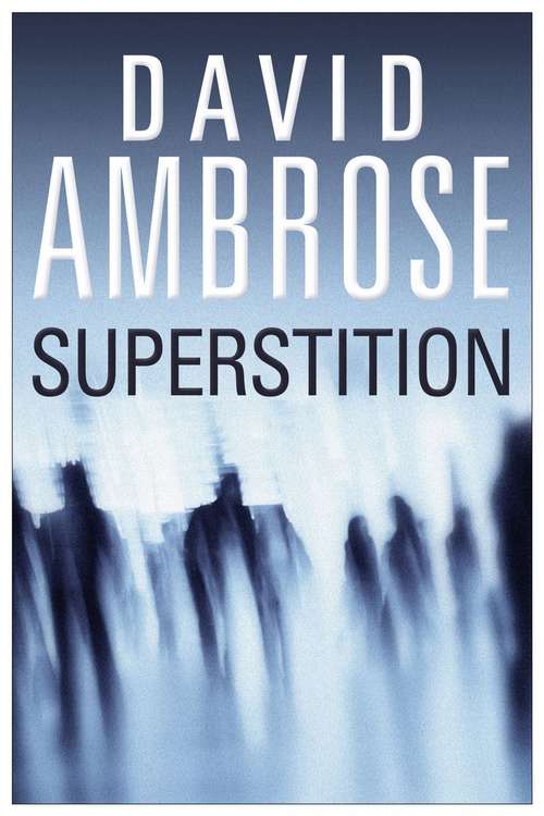 Book cover of Superstition