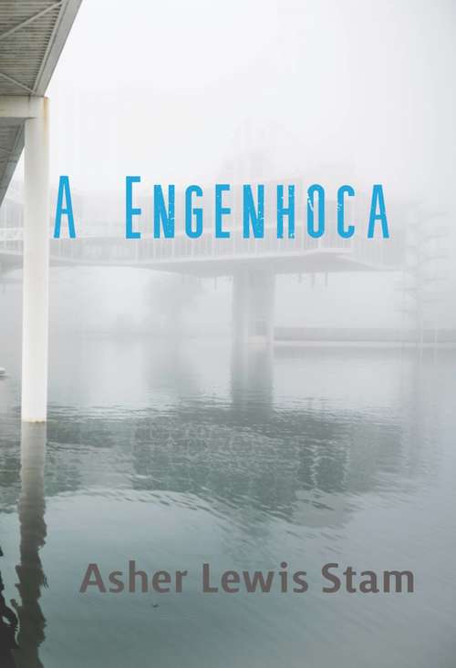 Book cover of A Engenhoca