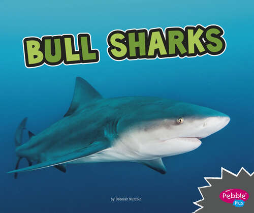 Book cover of Bull Sharks (All About Sharks Ser.)