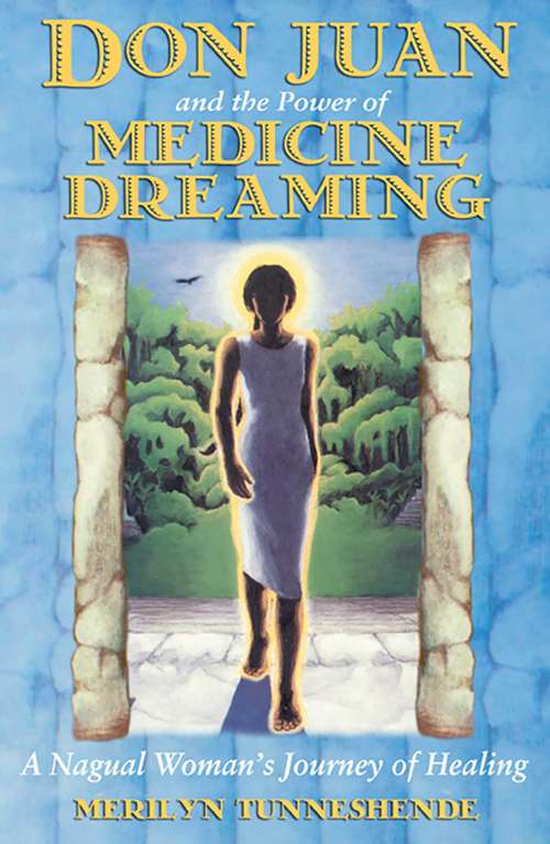 Book cover of Don Juan and the Power of Medicine Dreaming: A Nagual Woman's Journey of Healing