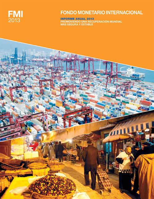 Book cover of FMI Fondo Monetario Internacional: Informe Anual 2013 Promoviendo Una Recuperación Mundial Más Segura Y Estable