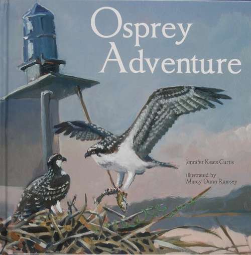 Book cover of Osprey Adventure