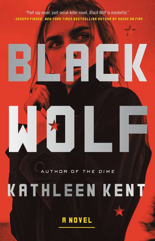 Book cover of Black Wolf: A Novel (-)