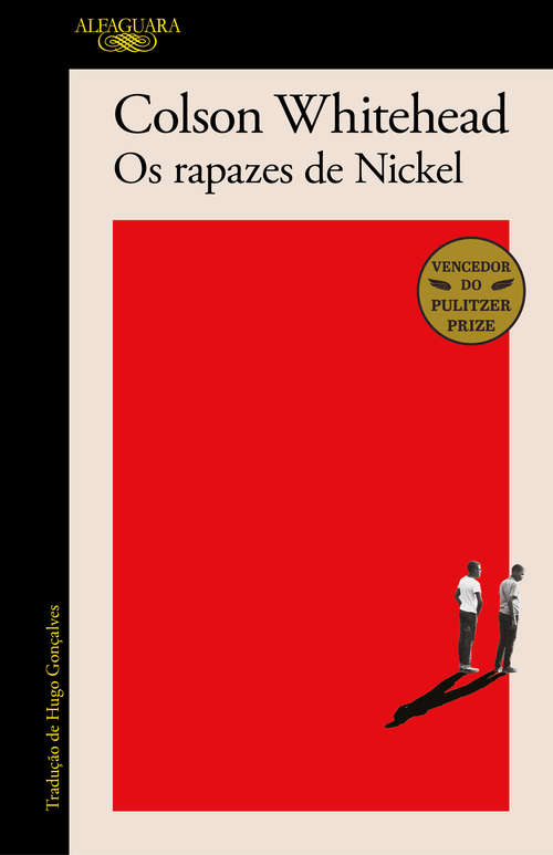 Book cover of Os rapazes de Nickel